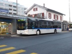 CH - Maag Busbetrieb AG