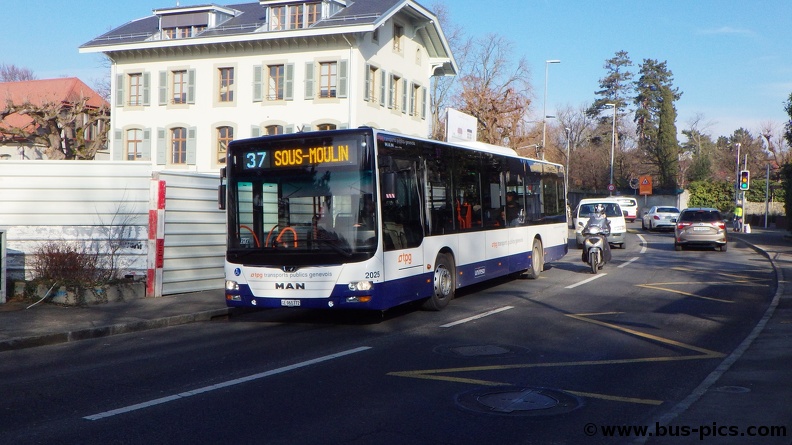 Thônex-Mairie -- ligne 37 -- RATP Dev (TPG) 2025