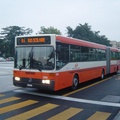 Nations -- Bus scolaire -- Dupraz Bus 68 (TPG 294)