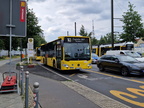 S Schöneweide / Sterndamm -- Linie 163 -- BVG 1198
