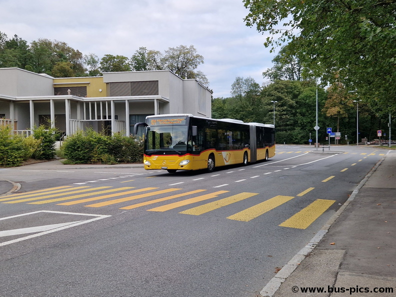 Bern, Untermattweg -- Linie 101 -- PostAuto 10687