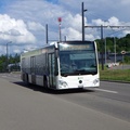 Fracht -- Linie 731 -- Maag Busbetrieb (VBG) 36