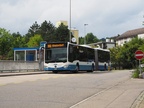 Unterenstringen, Sennenbüel -- Linie 302 -- Limmat Bus (VBZ) 56