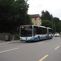 Oberenstringen, Paradies -- Linie 308 -- Limmat Bus (VBZ) 39