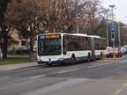 Moillebeau -- ligne 22 -- TPG 132