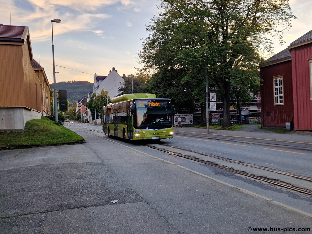 Search results | Bus Pictures